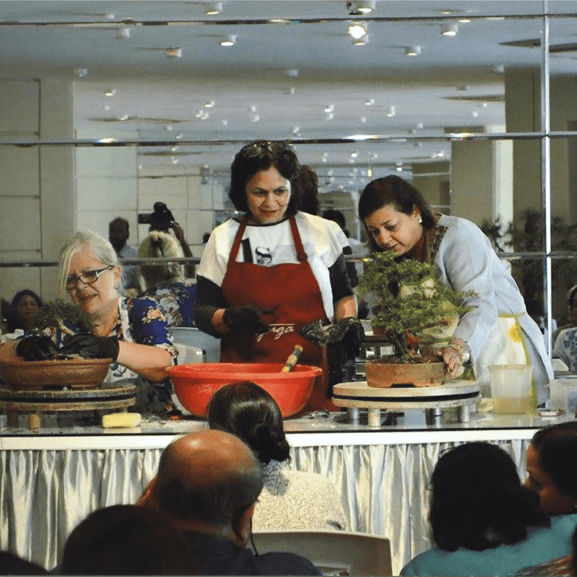 Vinita Agarwal — Bonsai Garden Sanctuary