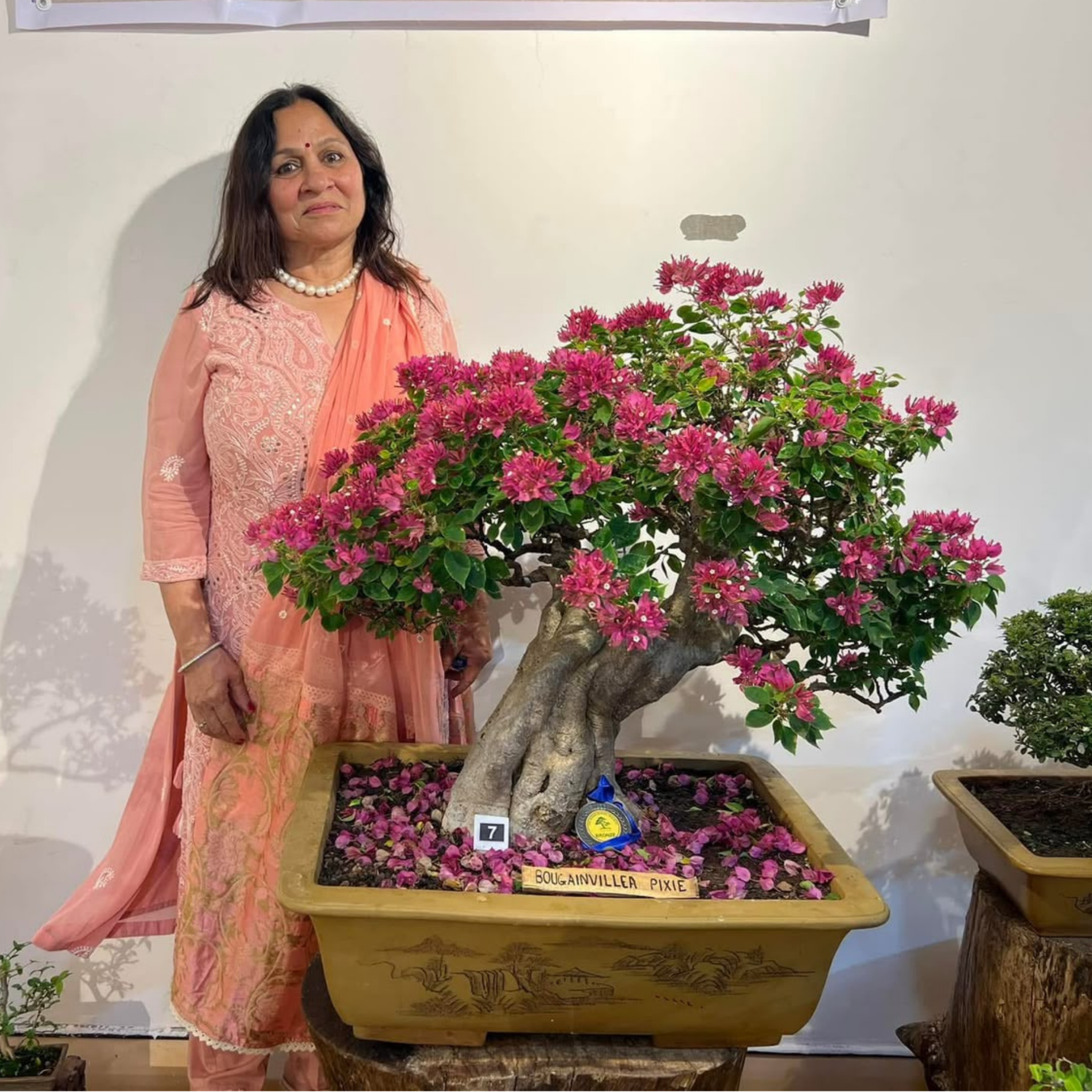 Vinita Agarwal — Art and Nature at Bonsai Vatika