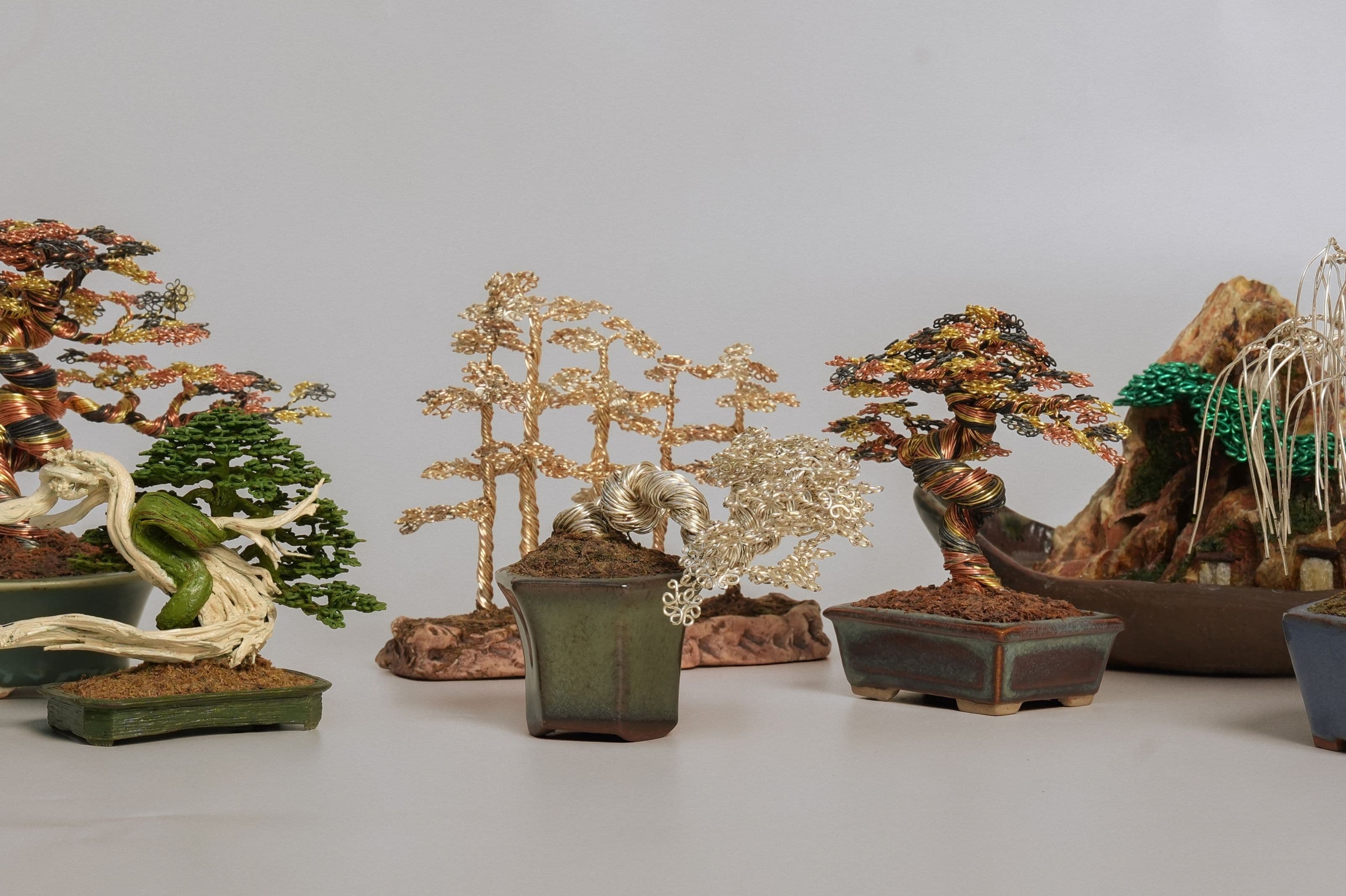 Starter Species: Low-maintenance plants to practise with