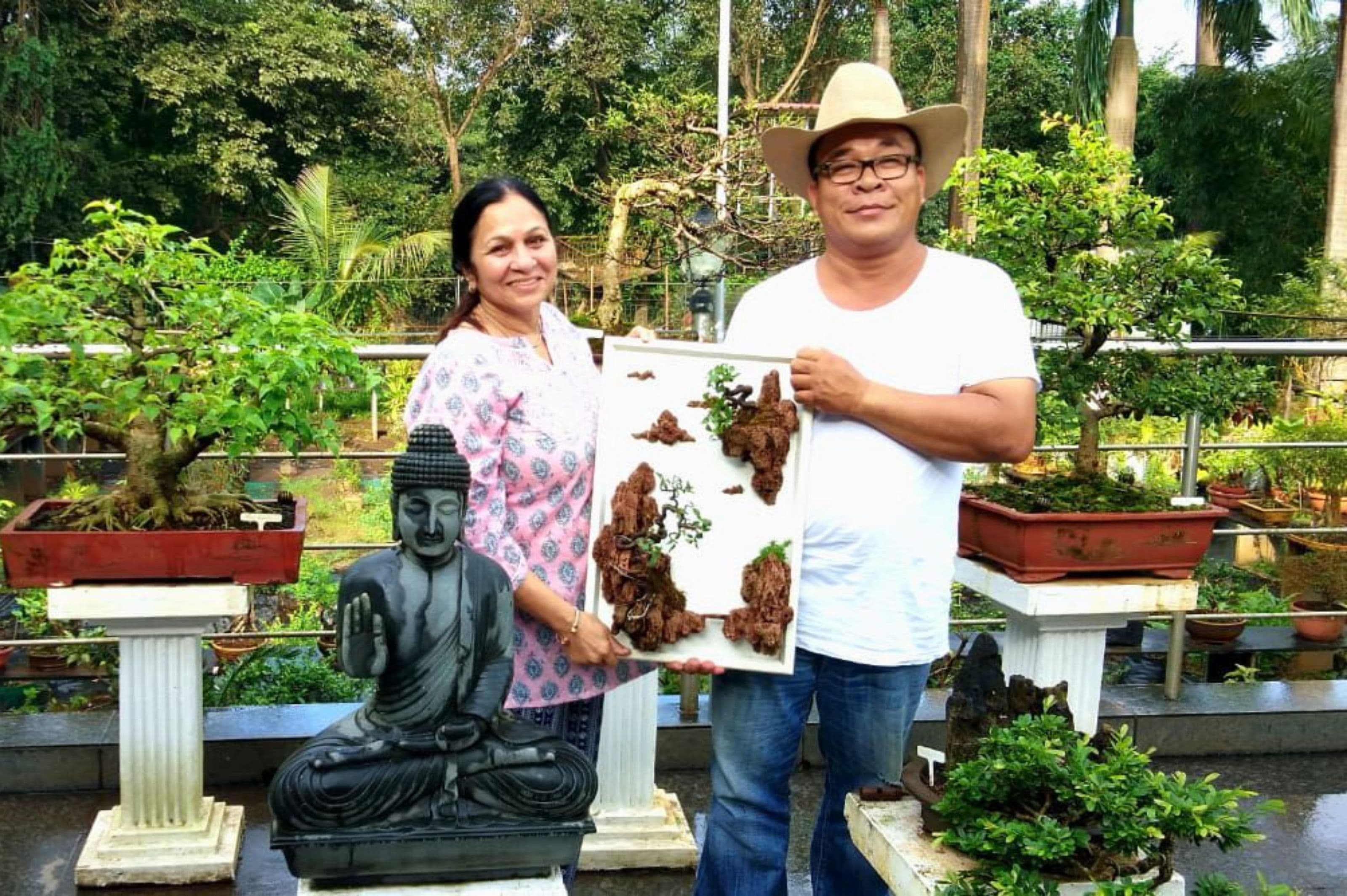 The Benefits of Pruning a Bonsai tree