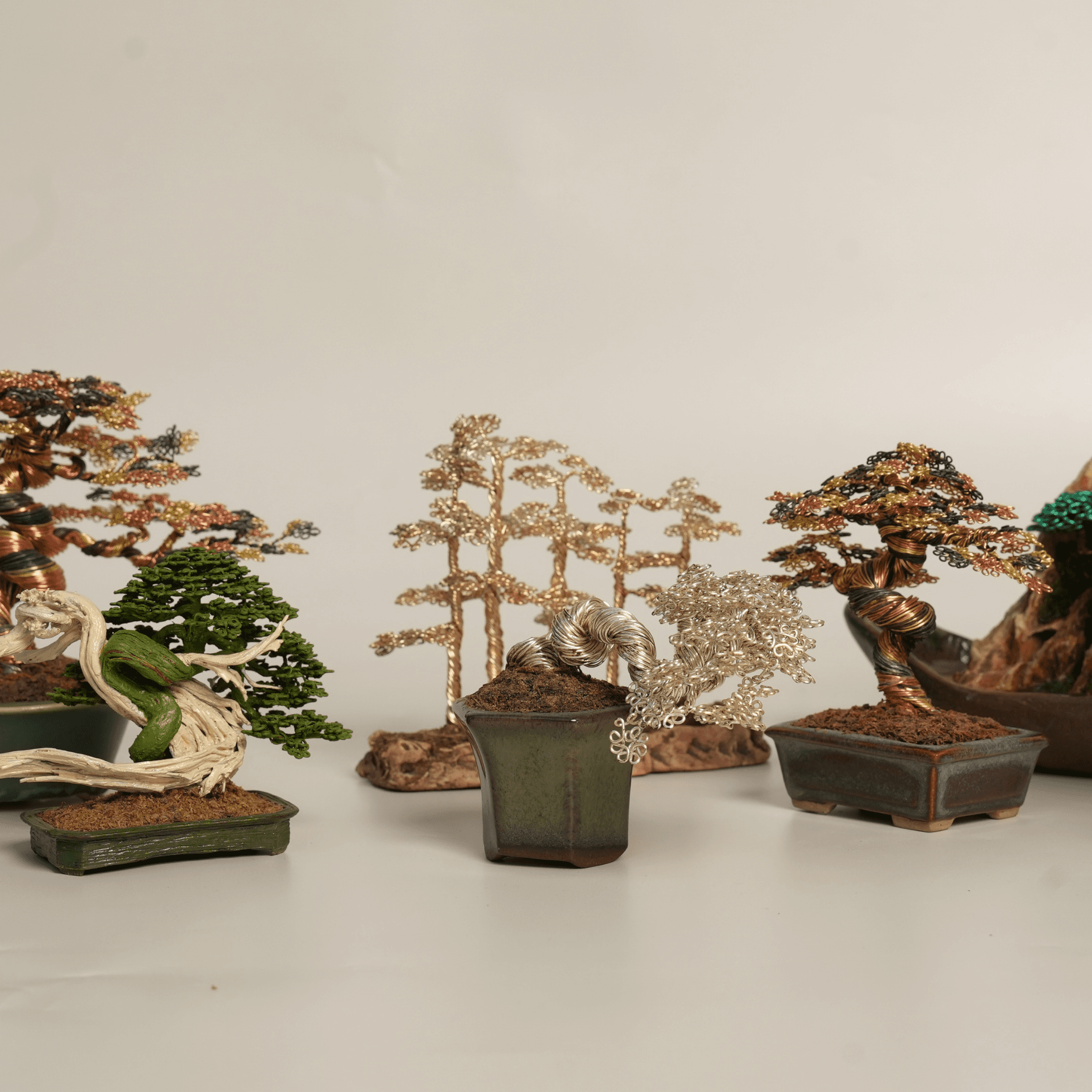 Special Collections