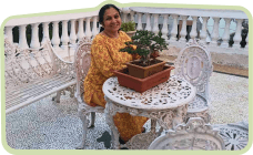 Bonsai terrace garden in Mumbai, 1988