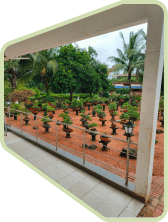 Bonsai garden moved to Karjat, 2002