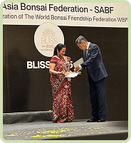 First bonsai convention award, 2015