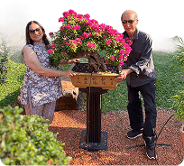 Rebuilt garden and new art studio, 2024